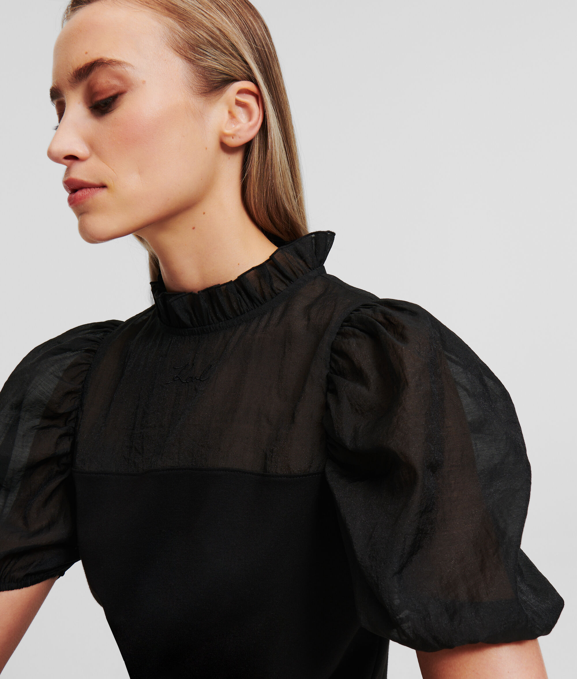 (image for) First-Class Organza Panelled Top